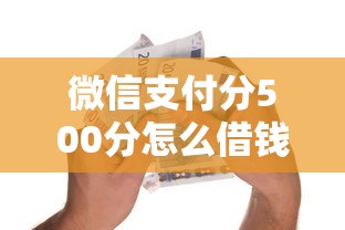 微信支付分500分怎么借钱，梳理5个黑户可以下的贷款平台