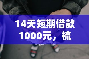 14天短期借款1000元，梳理五个综合评分不足网贷平台可以借款