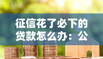 征信花了必下的贷款怎么办：公布5个黑户成功获取大额贷款的平台