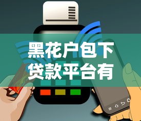黑花户包下贷款平台有哪些，整合5个芝麻信用贷款平台