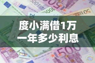 度小满借1万一年多少利息：整理五个小型贷款平台