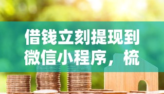 借钱立刻提现到微信小程序，梳理5个小米贷款平台