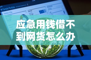 应急用钱借不到网货怎么办，罗列5个快速网贷平台