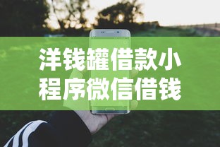 洋钱罐借款小程序微信借钱，公布五个花户可以借钱的软件