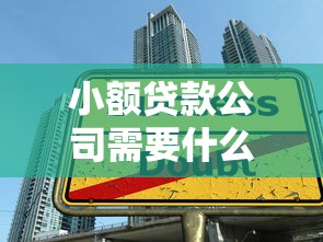 小额贷款公司需要什么条件？整合5个容易下款的借款平台