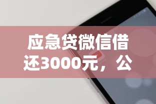 应急贷微信借还3000元，公布五个无视黑白好下款的软件
