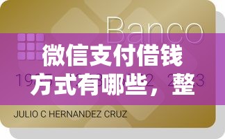 征信花可以贷款买车吗：公布五个2025借钱口子必下款