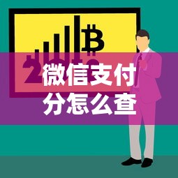 微信支付分怎么查询记录：整理五个2424平台百分百可以借到钱