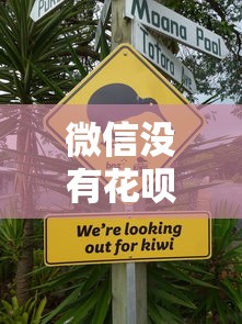 微信没有花呗怎么借钱呢：公布五个不看征信秒下款的平台