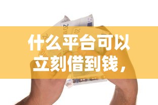 什么平台可以立刻借到钱，看看这5个拍拍贷类似的贷款平台