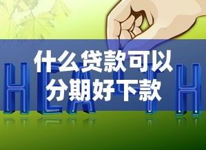 什么贷款可以分期好下款：公布五个新口子黑户