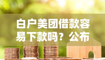 白户美团借款容易下款吗？公布5个好口子