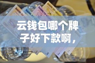 云钱包哪个牌子好下款啊，看看这5个无视一切的网贷