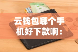 云钱包哪个手机好下款啊：整合5个网贷最好下款的平台不看征信