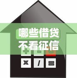 哪些借贷不看征信的平台：公布五个十大良心贷款平台推荐