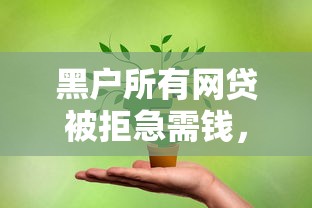 黑户所有网贷被拒急需钱，看看这五个贷款融资平台