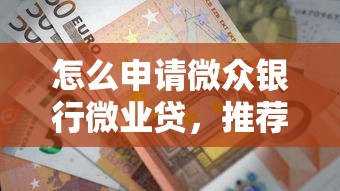 怎么申请微众银行微业贷，推荐5个综合评分不足可以在平台借到钱