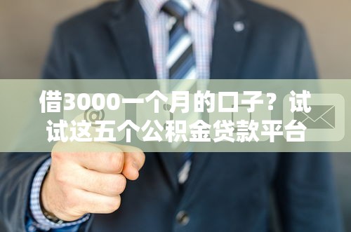 借3000一个月的口子？试试这五个公积金贷款平台好