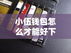 小伍钱包怎么才能好下款：整合5个平台贷款不看征信