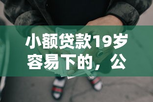 小额贷款19岁容易下的，公布五个失信人限高网贷口子
