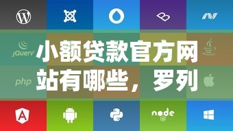 小额贷款官方网站有哪些，罗列5个最快下款的贷款平台