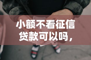 小额不看征信贷款可以吗，梳理5个有什么网贷平台