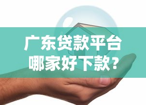 广东贷款平台哪家好下款？分享5个网贷平台网贷怎么样