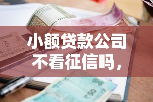 小额贷款公司不看征信吗，整理5个黑户口子秒下的