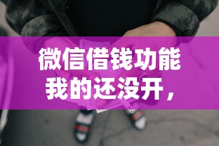 微信借钱功能我的还没开，公布5个网贷平台不用看征信可以放款的