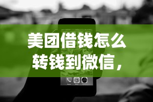 美团借钱怎么转钱到微信，推荐五个黑白贷款不是高炮的app