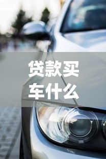贷款买车什么平台好下款：公布5个无视黑户百分百下款app