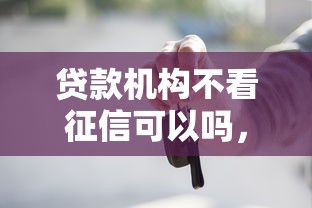 贷款机构不看征信可以吗，整合5个什么贷款平台不查征信