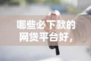 哪些必下款的网贷平台好，整合五个车抵押贷款平台