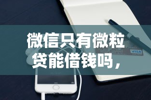 微信只有微粒贷能借钱吗，罗列五个用手机号贷款的平台