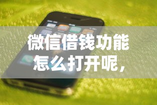 微信借钱功能怎么打开呢，整合5个和安逸花一样的平台还