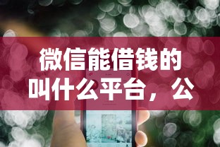 微信能借钱的叫什么平台，公布五个最快贷款平台