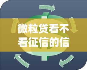 微粒贷看不看征信的信用：推荐5个高炮贷款app平台
