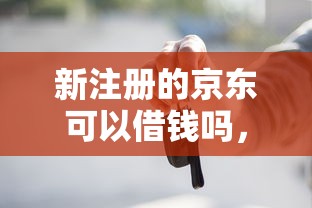 新注册的京东可以借钱吗，梳理五个按揭车贷款平台