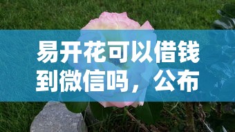 易开花可以借钱到微信吗，公布五个500借款口子