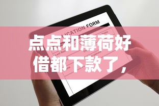 点点和薄荷好借都下款了，梳理5个平台可以贷款10万