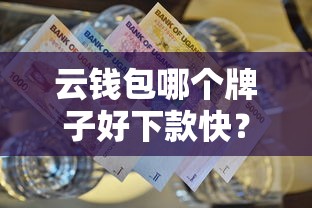 云钱包哪个牌子好下款快？看看这5个网贷平台好