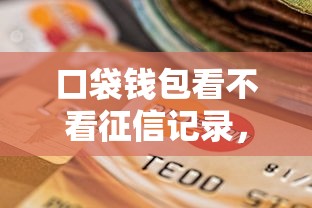 口袋钱包看不看征信记录，推荐5个黑户成功获取大额贷款的口子