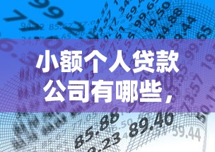 小额个人贷款公司有哪些，看看这五个无视评分的贷款口子