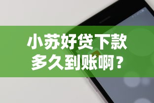 小苏好贷下款多久到账啊？整理五个网贷无视不查征信软件