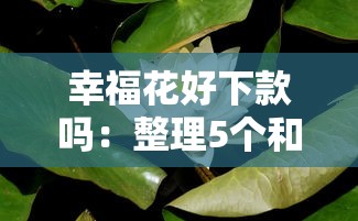 幸福花好下款吗：整理5个和安逸花一样的平台还