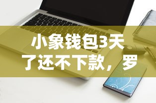 小象钱包3天了还不下款，罗列5个真正不查征信的贷款软件