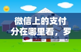 微信上的支付分在哪里看，罗列五个什么借钱平台好通过