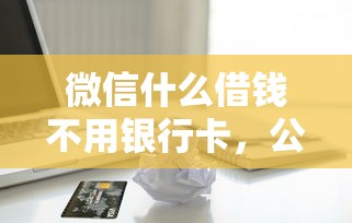 微信什么借钱不用银行卡，公布5个短期借款平台30天不看征信