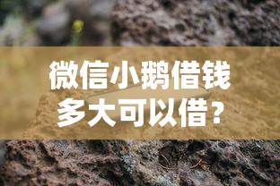 微信小鹅借钱多大可以借？看看这五个苹果手机包下款的口子