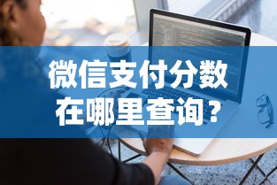 微信支付分数在哪里查询？试试这5个网贷容易下款18岁的软件